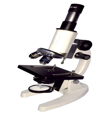 Junior Student Microscope